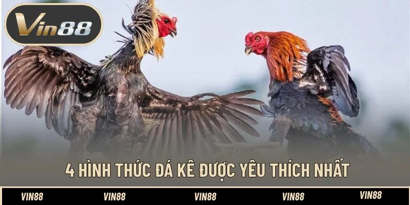 4 Hình thức đá kê được yêu thích nhất 