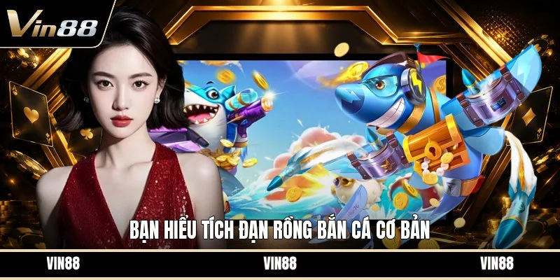 Bạn hiểu tích đạn rồng bắn cá cơ bản