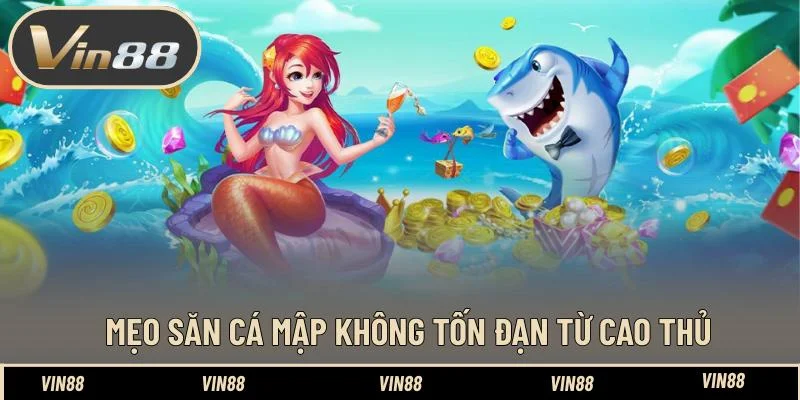 Mẹo săn cá mập không tốn đạn từ cao thủ Mẹo săn cá mập không tốn đạn từ cao thủ
