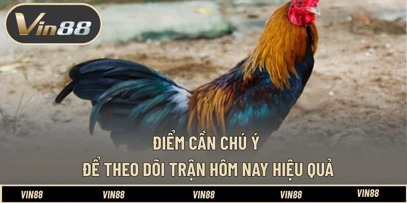 Điểm cần chú ý để theo dõi trận hôm nay hiệu quả Điểm cần chú ý để theo dõi trận hôm nay hiệu quả