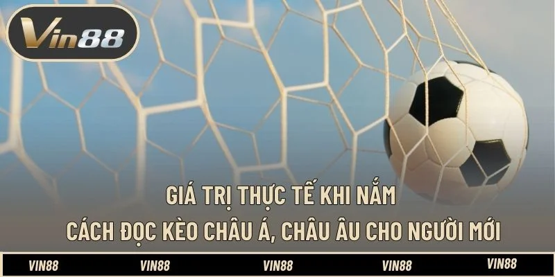 Giá trị thực tế khi nắm cách đọc kèo châu Á, châu Âu cho người mới Giá trị thực tế khi nắm cách đọc kèo châu Á, châu Âu cho người mới
