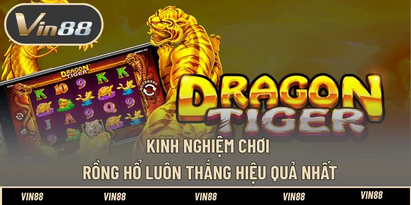 Kinh nghiệm chơi Rồng Hổ luôn thắng hiệu quả nhất