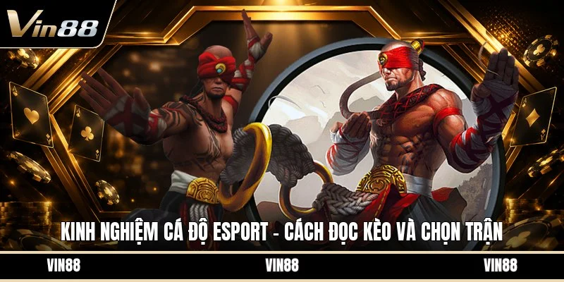 Kinh nghiệm cá độ esport