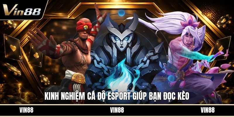 Kinh nghiệm cá độ esport giúp bạn đọc kèo