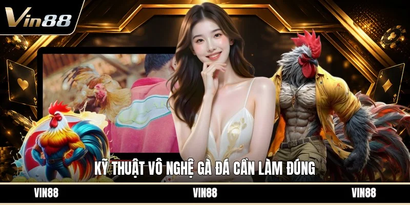 Kỹ thuật vô nghệ gà đá cần làm đúng