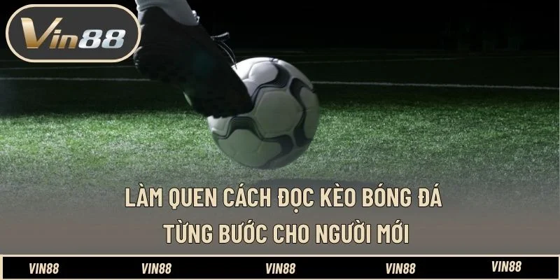 Làm quen cách đọc kèo bóng đá từng bước cho người mới Làm quen cách đọc kèo bóng đá từng bước cho người mới
