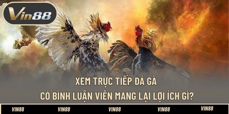 Xem trực tiếp đá gà có bình luận viên mang lại lợi ích gì? Xem trực tiếp đá gà có bình luận viên mang lại lợi ích gì?