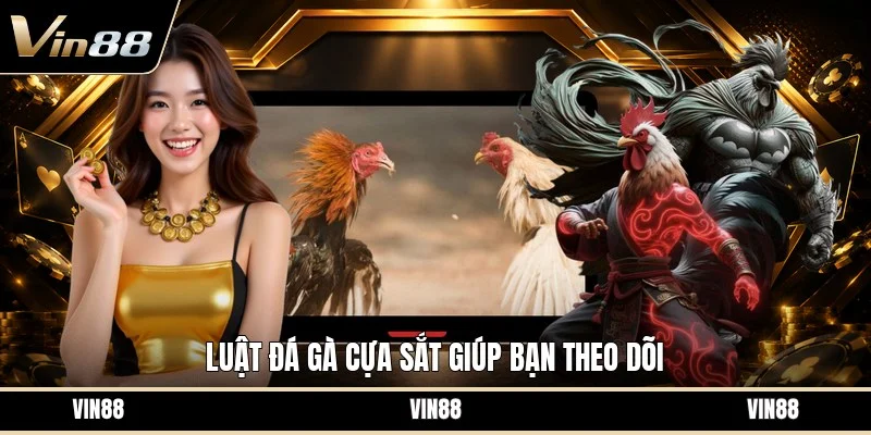 Luật đá gà cựa sắt giúp bạn theo dõi