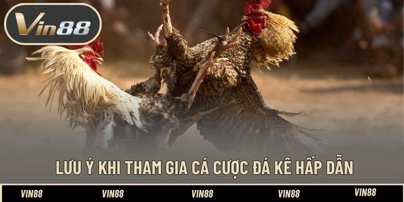 Lưu ý khi tham gia cá cược đá kê hấp dẫn 