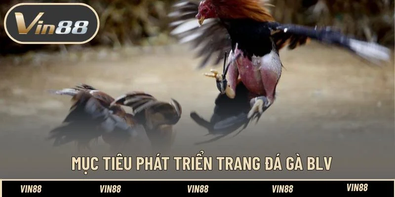 Mục tiêu phát triển trang đá gà BLV Mục tiêu phát triển trang đá gà BLV