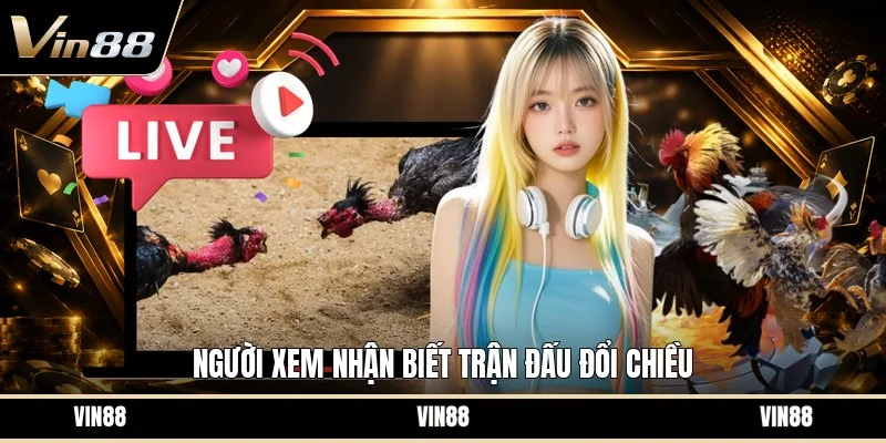 Người xem nhận biết trận đấu đổi chiều