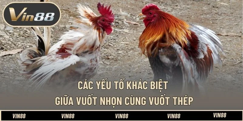 Các yếu tố khác biệt giữa vuốt nhọn cùng vuốt thép Các yếu tố khác biệt giữa vuốt nhọn cùng vuốt thép
