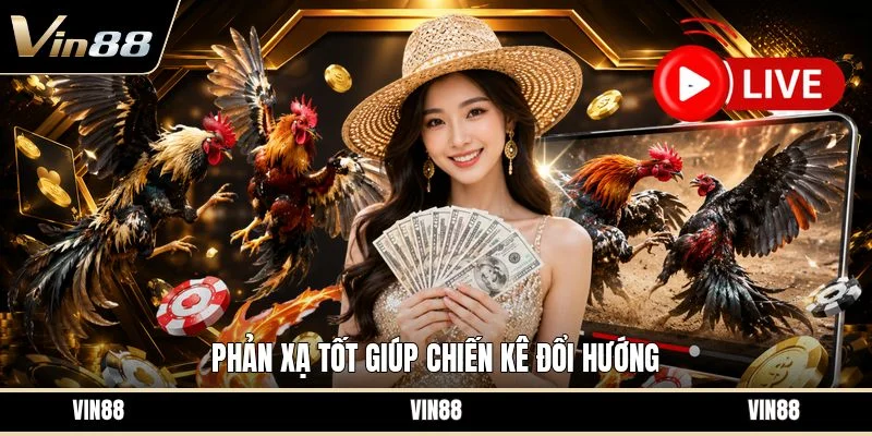 Phản xạ tốt giúp chiến kê đổi hướng