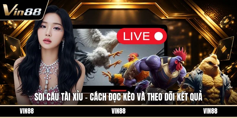 Soi cầu tài xỉu