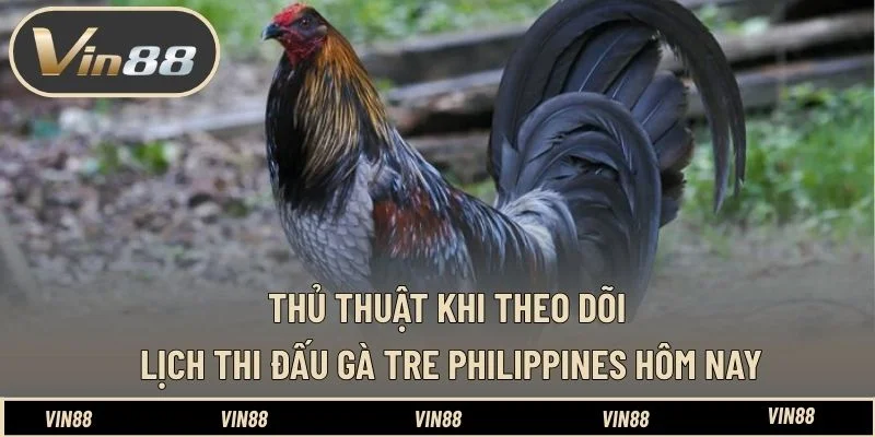 Thủ thuật khi theo dõi lịch thi đấu gà tre Philippines hôm nay Thủ thuật khi theo dõi lịch thi đấu gà tre Philippines hôm nay