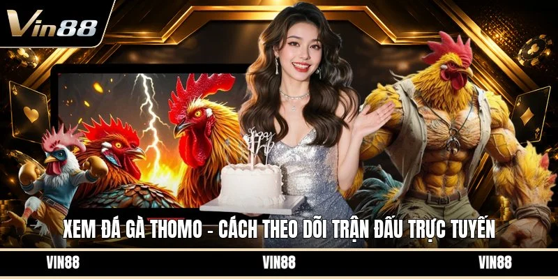 Xem đá gà thomo